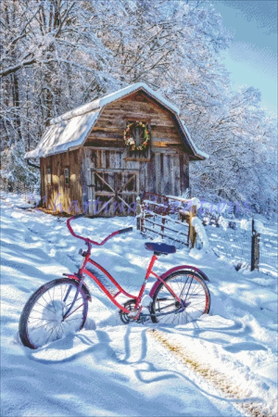 Snowy Surprise